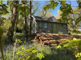 Tarka Woodland Cabin - Littleham - 5