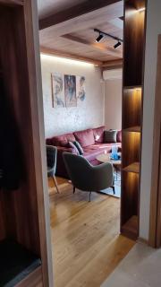 Zlatibor centar Luxuru apartment - Zlatibor - 9