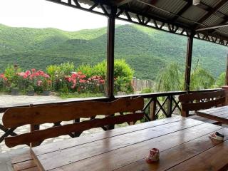 Green garden Կանաչ այգի - Ijevan - 7