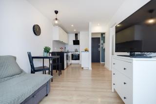 Crystal Apartment Katowice VII - Kattowitz - 4