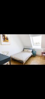 Rooftop Apartment in central Vienna - 9