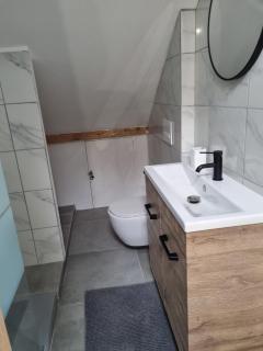 Superbe Maison SPA VIP - Luxeuil-les-Bains - 1