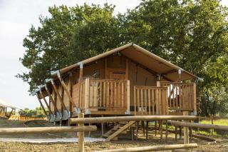 Glamping Tenuta Radici - Castelnuovo della Misericordia - 9
