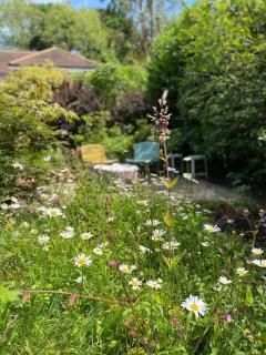 The Tool Shed nestled in idyllic countryside - Linchmere - 1