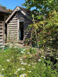 The Tool Shed nestled in idyllic countryside - Linchmere - 8