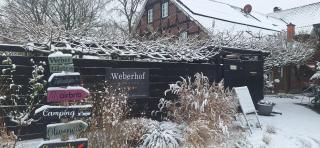 Weberhof - Münster - Münster - 1