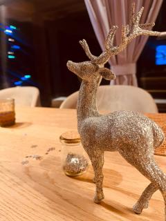 Dom Bio - Unique Ski Chalet, Białka Tatrzańska, Slovakia, Zakopane - 3