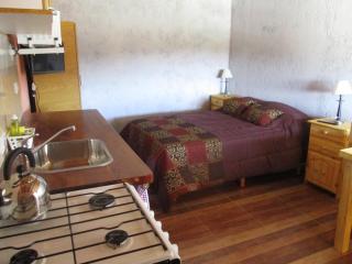 Apart Hotel Curahue - Junín de los Andes - 7
