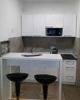 Pupinova palata- Apartman 7 - Novi Sad - 4