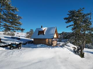 Cottage Vodice 2, Zlatibor - Dobroselica - 2