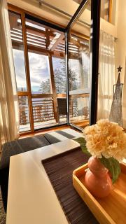 Emmy Apartman Zlatibor - Zlatibor - 9