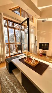 Emmy Apartman Zlatibor - Zlatibor - 0