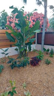 Le Musanda - Saint-Joseph - 4
