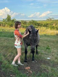 Casa de vacanta in Saulia - 7