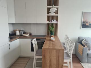 Royal apartment Novi Mercator - Belgrade - 9