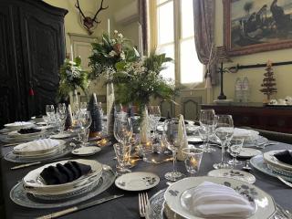 Hôtel Château des Jacobins - 8