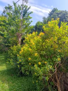Heilly villa - 5