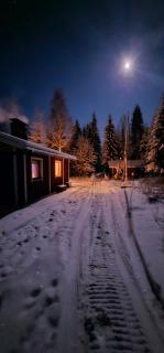 Peacfull cottage in middle of forest - - 0
