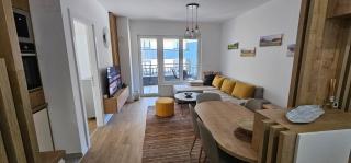 Apartman FARIDANI, besplatan parking i ostava za skije i bicikla - Bjelašnica - 3