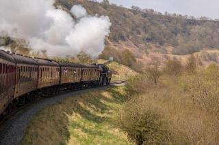 Rowan Boutique Lodge for couples with a dog - 5