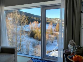 Apartament Biała Perła Czarna Góra Resort - Siena - 2