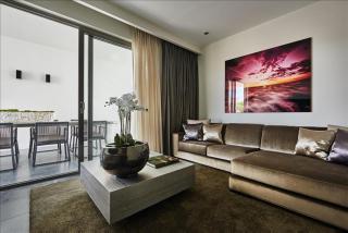 The Pearl of Jan Thiel villa with private pool gym and game room - 6