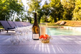 Magnifique villa en pierre avec piscine - Saint-Vincent-de-Lamontjoie - 9