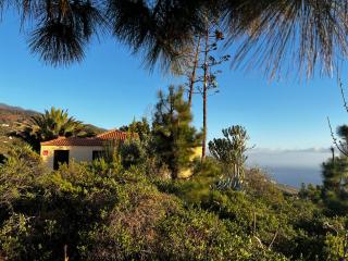 Casa Barbara - Puntagorda - 9