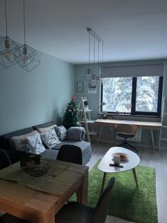 Borovets Gardens Apartment B15 - Borovets - 3