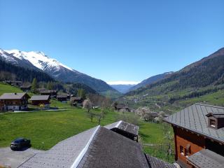 Wohnung mit schöner Sicht auf Bergpanorama und übers Tal - Ernen - 8