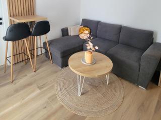 Apartman N&V, Villa Mont Jahorina - Jahorina - 7