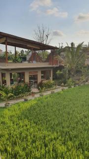 Ubud Rice Field House - Ubud - 4