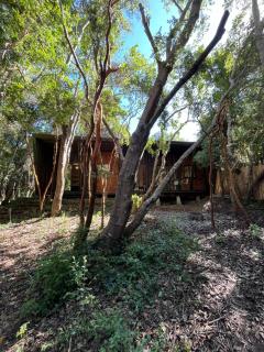 Bosque Escondido - 8