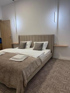 Muha ApartHotel - Suceava - 3