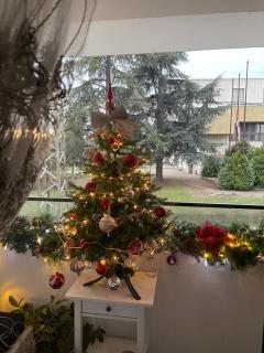 Lux Tea Pancevo - Pančevo - 7