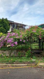 Bentong Hill Cottage - Bentong - 0