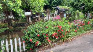 Bentong Hill Cottage - Bentong - 4