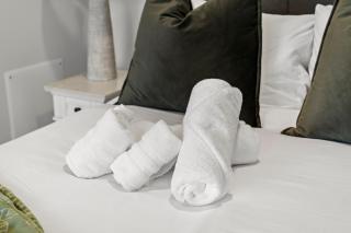 Furnished Apartment in South Boston - Boston - 1