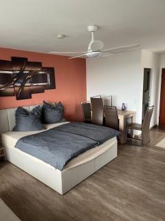 schönes Apartment mit Festungsblick - FREE Parking - - Würzburg - 6