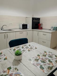 Vila Sabo- Casa de vacanta cu lac de pescuit si ciubar cu hidromasaj - Sîntioana - 8