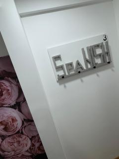 SpaNish apartman 3 - Niš - 8