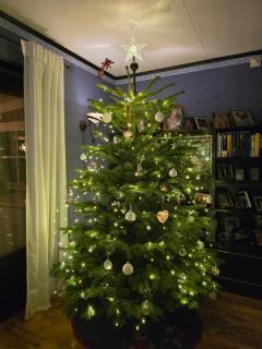 Årjäng Villa nära naturen - Årjäng - 9