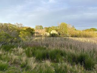 In Town Lily Pond Mini Compound, House and Cottage - Nantucket - 3