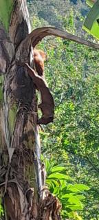 Hotel Travesía Ecológica - 1