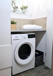 City Apartment FEWO in Dessau Rosslau - Dessau - 5