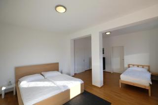 Alpenherz Appartment - 3