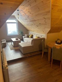 Apartment Bašović - Šavnik - 9
