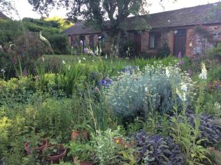 Quantock Hills Cottage in Spaxton - 3