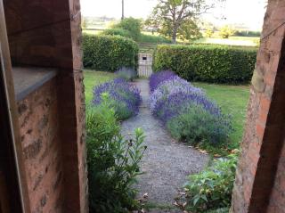 Quantock Hills Cottage in Spaxton - 2