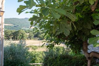 Gite au nid d'Ange - Lincel - 7